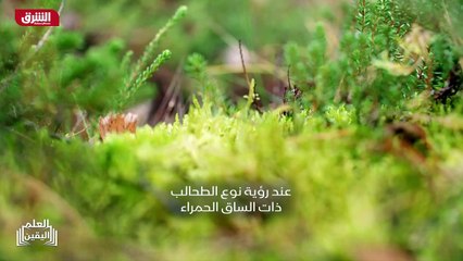 ...تحلب الارض او تحلم الخامل . ما نراه هنا ...