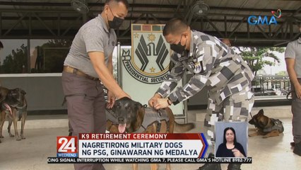 Nagretirong military dogs ng PSG, ginawaran ng medalya | 24 Oras Weekend