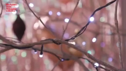 BLACKPINK Welcoming Collection 2020(288P)