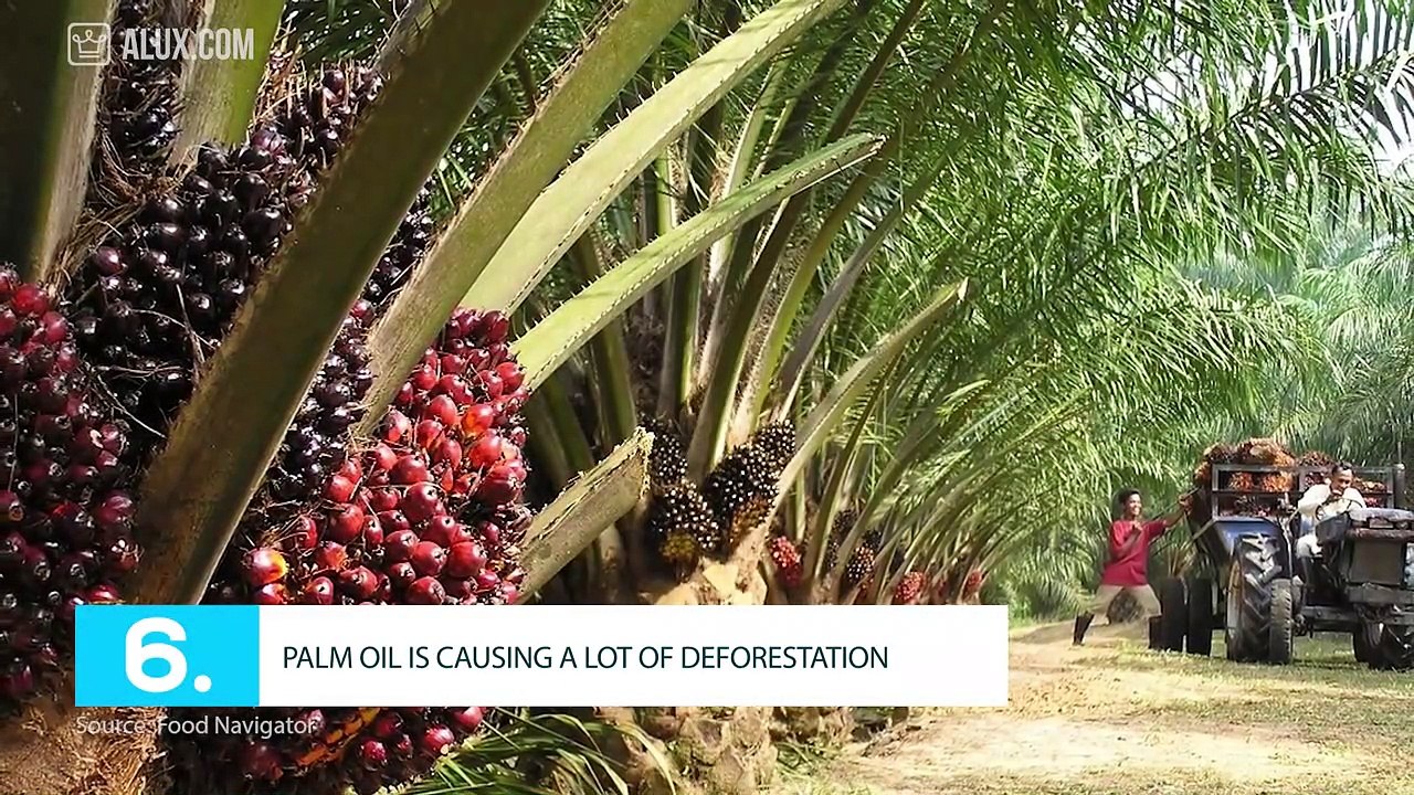 15 Things You Didn’t Know About Indonesia