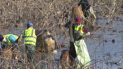 전남 강진 백년유산 '가래치기'...저수지가 놀이터로 / YTN