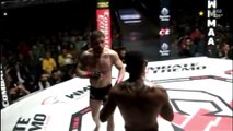 Excellent mixed martial arts fight