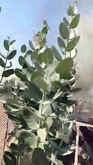 गैस भरवाते समय लगी वेन में आग, सामान सहित जलकर खाकबड़ा हादसा होने से बचा