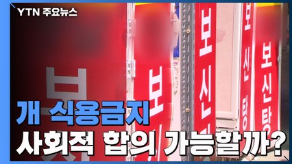 문 대통령이 띄운 '개 식용 금지'...사회적 합의 가능할까? / YTN