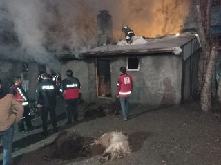KALORİFER DAİRESİNDE ÇIKAN YANGININ SIÇRADIĞI AHIRDA 16 HAYVAN ÖLDÜ