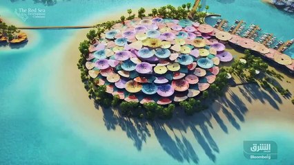 ...استثمار في المملكة أولا بأول صفقة وصفها ...