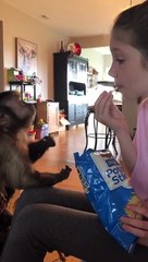 Sharing is caring! ❤️