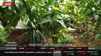 ...نسبة الى أن أو ورث هذا المكان الى أطفال ...