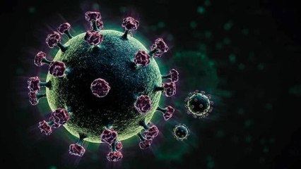 Covid variant 'Omicron' alert in India, RTCPR mandatory here