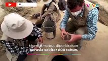 Mumi Terikat Berusia 800 Tahun Ditemukan di Dalam Tanah