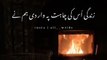 Urdu Poetry  Best 2 lines Poetry  Urdu Shero shayari Love Romantic Quotes in Urdu  #shorts