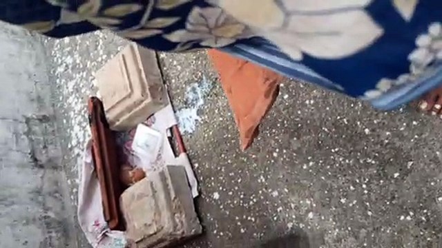 i made a small house for that cute kitty