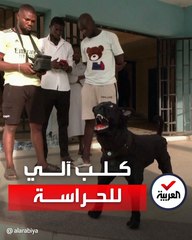 يوفر حماية للمنزل ولمالكه.. ابتكار كلب حراسة آلي في نيجيريا