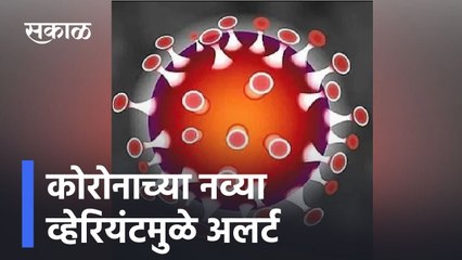 Maharashtra ; कोरोनाच्या नव्या व्हेरियंटमुळे अलर्ट ; पाहा व्हिडीओ