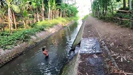 Sumber Ngadiloyo Kediri _ Sumber  Ngadiloyo Ngadiluwih Kediri