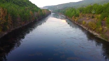 (DRONE) Ceyhan Nehri çevresinde sonbaharın renkleri hakim oldu