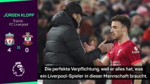 Klopp über Jota: “Die perfekte Verpflichtung”
