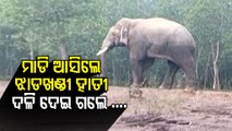 Tusker From Jharkhand Strays Into Nilagiri Area Of Balasore