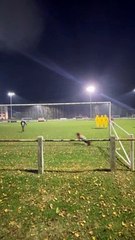 Entraînement gardiens