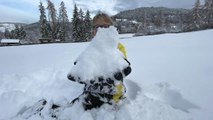 Prima neve in Alto Adige, imbiancato l'avvio della stagione dello sci