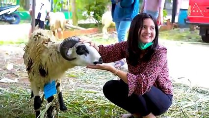 Bulan Sutena - I Love Mama Mantu Remix Jedag Jedug