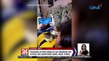 Pusang ayaw umalis sa ibabaw ng ataul ng kanyang amo, nag-viral | 24 Oras Weekend