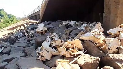 ปราจีนบุรี