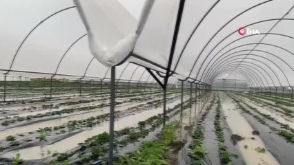 Antalya'da ekili alanlar ve çilek seraları sular altında kaldı