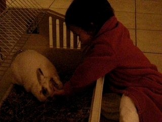 Caché-coucou le lapin !!!!!!!!