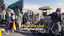 Afghans rely on coal to keep warm as winter cold sets in