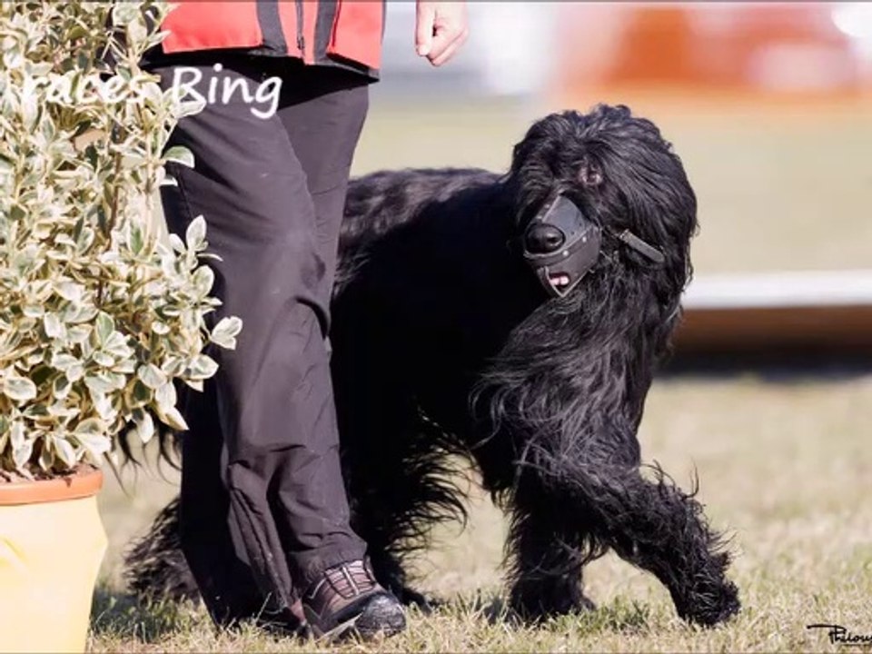 RING :  Inter races 2021 Lune, Jazz et Neekhos