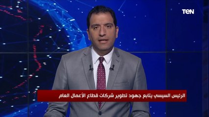 الرئيس السيسي يتابع جهود تطوير شركات قطاع الأعمال العام