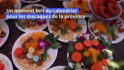Thaïlande : les singes, invités d'honneur, lors d'un festival de fruits
