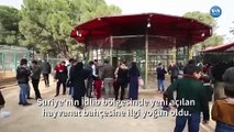 İdlib’in İlk Hayvanat Bahçesine Yoğun İlgi