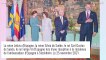Letizia d'Espagne : Incident en pleine réception officielle, gros moment de gêne pour la reine