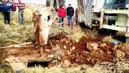 Kaybolan at kanalizasyon çukurunda bulundu