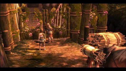 The Legend of Zelda : Twilight Princess online multiplayer - wii