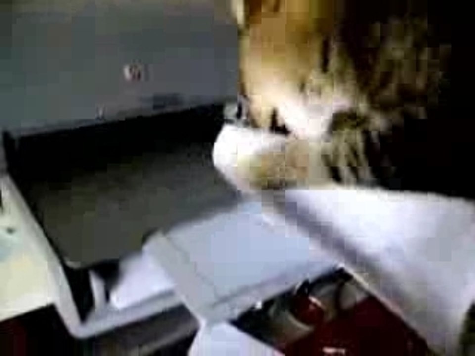 Chats