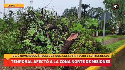 Un fuerte temporal afectó a la zona Norte de Misiones dejando numerosos árboles caídos, casas sin techo y cortes de luz