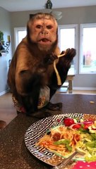 Tonight I’m having dinner at the bar but then I decided to sit with my sister because my brother isn’t home and I didn’t want her to be lonely!