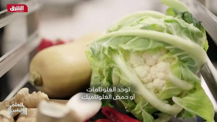 ...رامي في العام ألف وتسعمئة وخمسة وثمانين ...