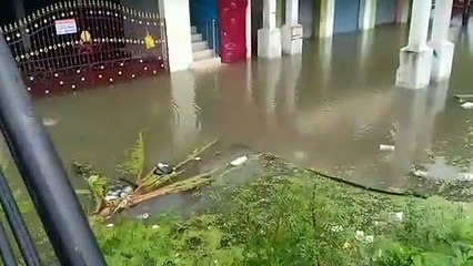 செங்கல்பட்டு மாவட்டத்தில் திம்மாவரம் கால்வாயில் வெள்ளப்பெருக்கா - வைரலாகும் வீடியோ