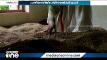 കാലം തെറ്റി പെയ്ത മഴ: പ്രതിസന്ധിയിലായി കൊല്ലം കരിപ്രയിലെ നെൽകർഷകർ | Kollam |