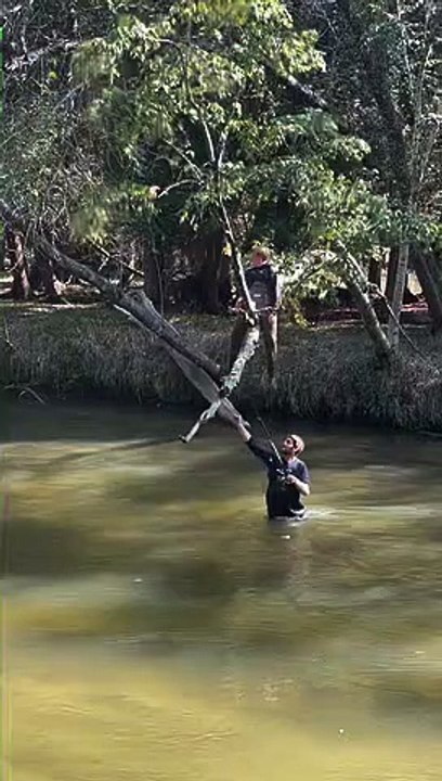 Fisherman's Falling Tree Surprise