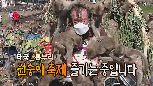 [#세상만사] 2년 만에 열린 태국 원숭이 축제 / YTN