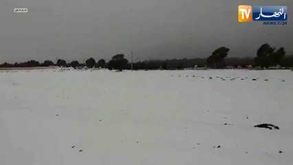 سيدي بلعباس: بلدية الضاية تكتسي الحلة البيضاء