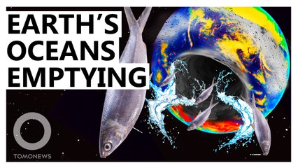 World Leaders Have a Chance to Avert Catastrophe in Our Oceans