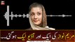 Another alleged audio of Maryam Nawaz leaks
