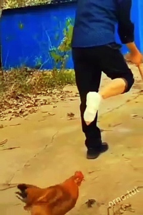Chicken Fun