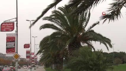 Maltepe'de fırtınayla birlikte dev dalgalar kıyıya vurdu